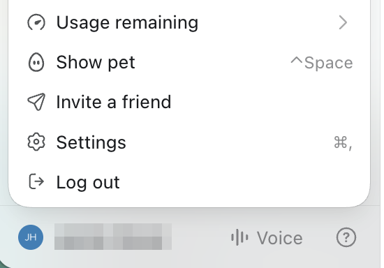 The ChatGPT account menu, with Settings in the list